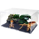 Niesporek 爬虫類 ケージ 飼育ケース レプタイルボックス 温度湿度計付き 飼育容器アクリル 給餌箱 透明 通気ケージ 昆虫飼育ケース 給餌ケージ ボックス 換気が良い 爬虫類テラリウムタンク(4)