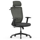 FLEXISPOT オフィスチェア デスクチェア OC3 多機能調節 ロッキング機能 3段階固定 2Dヘッドレスト付き アームレスト付き ランバーサポート付き ...
