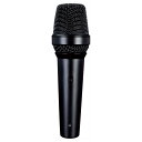 LEWITT ルーイット MTP 250 DMs ダイナミック・マイク スイッチ付き