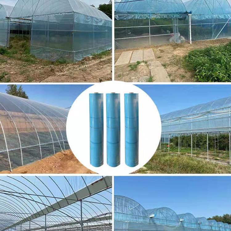 ������ ����0.14mm �����ե���� Ʃ�� �ӥˡ���ϥ��� �����ѥե���� �ȥ�ͥ�ե���� Ĺ��10m �ӥˡ���ϥ��� �ѵ� �����ѥե���� �ե���� �����ڱ� ���� ������� �ɿ� �����ǥ˥� ����� ���� ĥ�ؤ��ե����