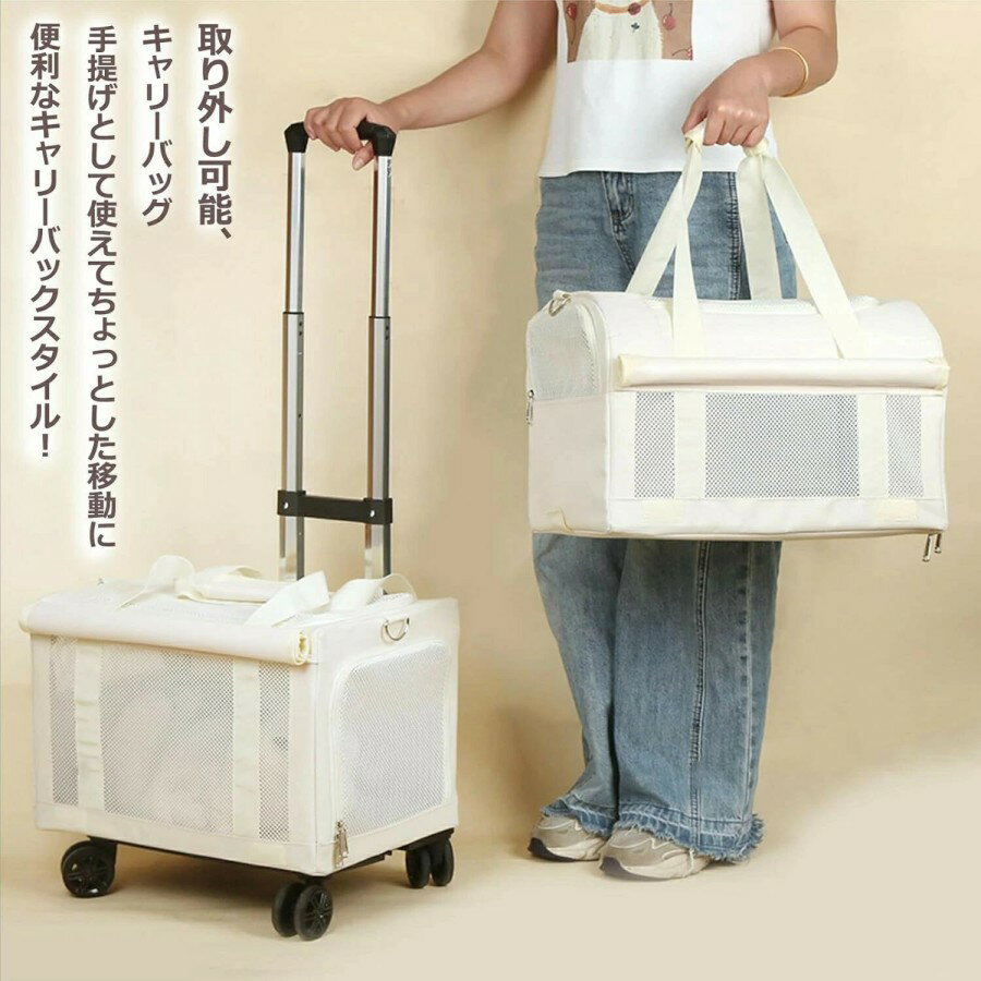 �ڥåȥ����� �ե������ȥ��饹 �ڥå� ������ �� ������ �淿�� ǭ ¿Ƭ ����꡼ �ޤꤿ���� �ڥåȥХ��� �Х��� �ɥå������� ʬΥ �ޤ���� ���Ф��� ��� �ٽ� ���� ��ñ ����ѥ��� ������� �̱� �ҳ� ����