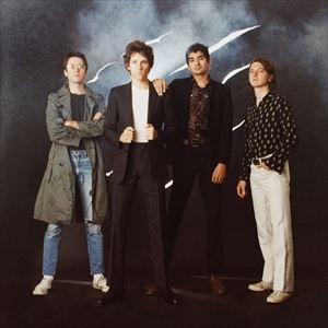 輸入盤 PUBLIC ACCESS TV / STREET SAFARI [LP]