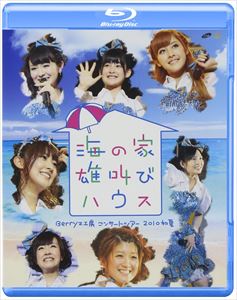 Berryz工房 コンサートツアー 2010初夏～海の家 雄叫びハウス～ [Blu-ray]