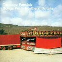 輸入盤 TEENAGE FANCLUB / SONGS FROM NORTHERN BRITAIN LP