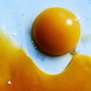 ラッドウインプス アニュー詳しい納期他、ご注文時はお支払・送料・返品のページをご確認ください発売日2025/10/8関連キーワード：RAD ラッド らっど ラッドウィンプス アルバムRADWIMPS / あにゅーアニュー ジャンル 邦楽ロッ...