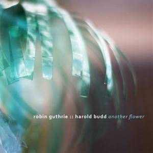 輸入盤 ROBIN GUTHRIE ／ HAROLD BUDD / ANOTHER FLOWER （DIG） CD