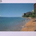 Artist Name: M - (オムニバス) MUSIC for SHIPS VOL.1 STYLISH HAWAii [CD]