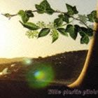 Artist Name: J - リトル・プラスティック・パイロッツ / リトル・プラスティック・パイロッツ [CD]