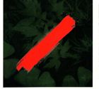 Artist Name: B - 輸入盤 CFCF / OUTSIDE [CD]