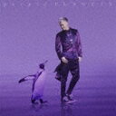 米倉利紀 / purple PENGUIN [CD]