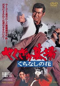 䤯 ʤβ [DVD]
