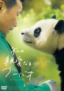 詳しい納期他、ご注文時はお支払・送料・返品のページをご確認ください発売日2025/10/28私の親愛なるフーバオ（初回限定版） ジャンル 洋画韓国映画 監督 シム・ヒョンジュントーマス・コー 出演 コロナ禍に韓国で誕生したジャイアントパンダのフーバオ。「幸福を与える贈り物」と名付けられた彼女は、韓国はもちろん、世界中から愛される存在へと成長した。4歳になる2024年、中国への帰国を間近に控えファンたちが悲しみに暮れる中、飼育員たちはフーバオの幸せを願い、中国行きの準備を粛々と続けていた。出発に向けた前向きな準備を整えながらも、次第に近づく別れを前に、飼育員たちの心も揺れ始める。封入特典韓国版ポストカード／ブックレット特典映像シム・ヒョンジュン監督より日本公開に向けたメッセージ／カン・チョルウォン飼育員より日本公開に向けたメッセージ／オリジナル予告編 種別 DVD JAN 4527907081032 収録時間 94分 画面サイズ ビスタ 組枚数 1 製作年 2024 製作国 韓国 字幕 日本語 音声 韓国語DD（5.1ch） 販売元 ファインフィルムズ登録日2025/07/22