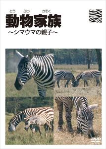 詳しい納期他、ご注文時はお支払・送料・返品のページをご確認ください発売日2010/10/22動物家族 〜シマウマの親子〜 ジャンル 趣味・教養動物 監督 出演 種別 DVD JAN 4560184800033 収録時間 40分 製作年 2010 製作国 日本 販売元 NTB登録日2010/10/08