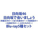 ヒナタザカデアイマショウ詳しい納期他、ご注文時はお支払・送料・返品のページをご確認ください発売日2024/1/31日向坂46／日向坂で会いましょう（齊藤京子の〜＋佐々木美玲の〜＋河田陽菜の〜＋松田好花の〜＋上村ひなのの〜）ヒナタザカデアイマショウ ジャンル 国内TVバラエティ 監督 出演 日向坂46※こちらは以下商品のセット販売です。SRXW-71 4547366660821〜日向坂で会いましょう〜齊藤京子の野球を好きになりましょうSRXW-72 4547366660791〜日向坂で会いましょう〜佐々木美玲のおひさまたちを釣りましょうSRXW-73 4547366660784〜日向坂で会いましょう〜河田陽菜の秋頃に会いましょうSRXW-74 4547366660807〜日向坂で会いましょう〜松田好花のリトルトゥースになりましょうSRXW-75 4547366660814〜日向坂で会いましょう〜上村ひなのの三期生に出会いましょう関連商品日向坂46映像作品当店厳選セット商品一覧はコチラ 種別 Blu-ray5種セット JAN 6202312180034 組枚数 5 製作国 日本 販売元 ソニー・ミュージックソリューションズ登録日2023/12/18