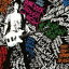 ȾϹ / PUNK ROCK THROUGH THE NIGHT [CD]