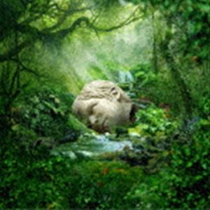 Rock, Pop - ウィーザー / シーズンズ：スプリング [CD]