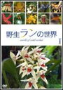 詳しい納期他、ご注文時はお支払・送料・返品のページをご確認ください発売日2006/5/25野生ランの世界 DVD-BOX ジャンル 趣味・教養動物 監督 出演 全世界に約800属、3万種とも言われる野生ランの中から、ボルネオに生息する約100種の野生ランの姿を撮影したDVD。ラン研究学者の第一人者であり、世界的ベストセラーを持つアンソニー・ラム氏が監修をおこなっている。封入特典写真集 種別 DVD JAN 4988102249038 収録時間 86分 カラー カラー 組枚数 2 製作年 2006 音声 DD（ステレオ）DD（ステレオ） 販売元 NBCユニバーサル・エンターテイメントジャパン登録日2006/03/07