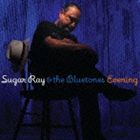 ���奬�����쥤�������֥롼�ȡ��� / �����˥� [CD]