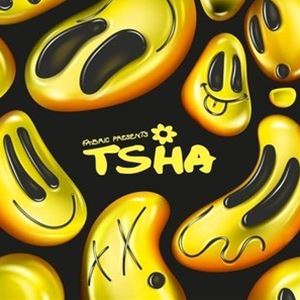 Artist Name: G - ティーシャ / ファブリック・プレゼンツ・ティーシャ [CD]
