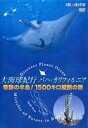 詳しい納期他、ご注文時はお支払・送料・返品のページをご確認ください発売日2006/5/26大海球紀行バハ・カリフォルニア ジャンル 趣味・教養カルチャー／旅行／景色 監督 出演 メキシコ、カリフォルニア半島周辺やサボテン群生地帯、山奥の壁画など、半島のほぼ全域を網羅するDVD。コククジラやアシカ、コルテス海の珍しい生物たちを美しいハイビジョン映像で紹介。 種別 DVD JAN 4571189500057 カラー カラー 組枚数 1 製作国 日本 販売元 いまじん登録日2006/03/23