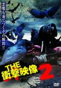 THE 衝撃映像 2 [DVD]