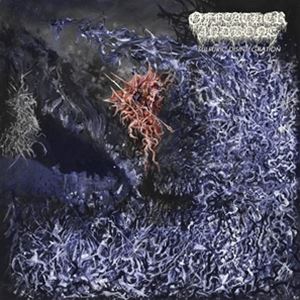 ͢ OF FEATHER  BONE / SULFURIC DISINTEGRATION [CD]