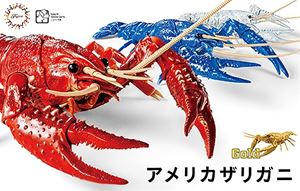 自由研究24 EX5 アメリカザリガニ特別仕様(ゴールド
