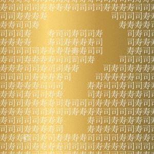 ウルトラ寿司ふぁいやー / 寿寿寿寿司司司司 [CD]