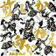 AKB48 / ͤ̾סType ACDDVD [CD]