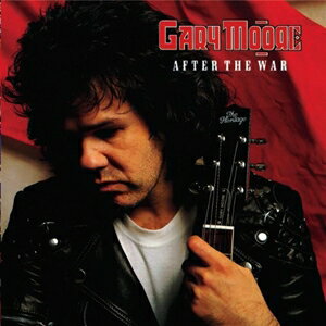 輸入盤 GARY MOORE / AFTER THE WAR [LP]