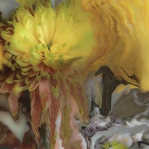 ͢���� PARKER MILLSAP / WILDERNESS WITHIN YOU [LP]