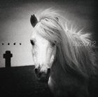 サッズ レッスン 2詳しい納期他、ご注文時はお支払・送料・返品のページをご確認ください発売日2010/12/8SADS / Lesson 2（CD＋DVD／ジャケットA）レッスン 2 ジャンル 邦楽ロック/ソウル 関連キーワード SADS1...