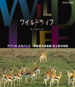 詳しい納期他、ご注文時はお支払・送料・返品のページをご確認ください発売日2013/4/26ワイルドライフ アフリカ大サバンナ 草食獣対肉食獣 生と死の攻防 ジャンル 国内TVドキュメンタリー 監督 出演 NHKの技術力・取材力の粋を集めた本格自然番組がブルーレイで発売!大自然の絶景、躍動する命の世界を、豊かな映像で記録しつづけ、骨太の自然番組として親しまれている。第2弾の「アフリカ大サバンナ編」から、本作はシマウマやトムソンガゼルなど草食獣の視点で肉食獣との闘いを描いた「草食獣対肉食獣 生と死の攻防」を収録。封入特典解説リーフレット（長沼毅氏＜広島大学准教授、地球の辺境を放浪する科学者＞の特別寄稿／ディレクターのフィールドリポート ほか）特典映像スペクタクル映像集（BGV）／番組予告集関連商品NHKドキュメンタリーワイルドライフ 種別 Blu-ray JAN 4988066193088 収録時間 57分 カラー カラー 組枚数 1 製作年 2011 製作国 日本 字幕 日本語 音声 日本語リニアPCM（ステレオ） 販売元 NHKエンタープライズ登録日2013/02/01