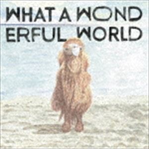 堀込泰行 / What A Wonderful World [CD]