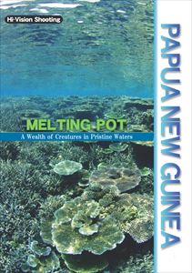 パプアニューギニア／MELTING POD [DVD]