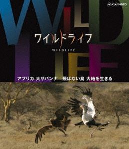 ワイルドライフ アフリカ大サバンナ 飛ばない鳥 大地を生きる [Blu-ray]