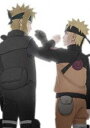 劇場版 NARUTO-ナルト- 疾風伝 ザ ロストタワー（完全生産限定版） DVD