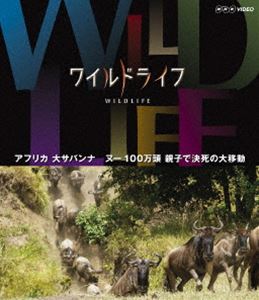 ワイルドライフ アフリカ大サバンナ ヌー100万頭 親子で決死の大移動 [Blu-ray]