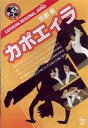 矢部良 カポエィラ [DVD]