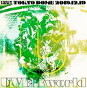 UVERworld／UNSER TOUR at TOKYO DOME（初回生産限定盤） [DVD]