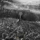 Artist Name: K - 輸入盤 MACHINEDRUM / VAPOR CITY （DIG） [CD]