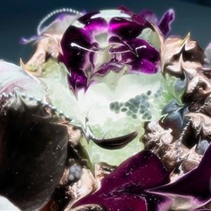 輸入盤 DRAGONGIRL / HOT BLUE [LP]