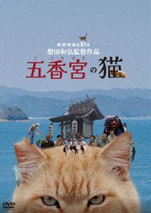 五香宮の猫 [DVD]