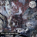 輸入盤 EMPRESS AD / STILL LIFE MOVING FAST [CD]