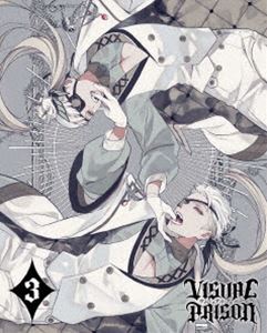 ヴィジュアルプリズン 3（完全生産限定盤） [DVD]