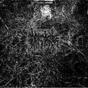 ARID / Harvesting the Toil of Flesh Beyond the Entombment of the Extinction That it Bore 