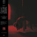 輸入盤 KNOCKED LOOSE / TEAR IN THE FABRIC OF LIFE CD