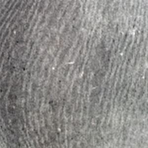 LOW / HEY WHAT [CD]