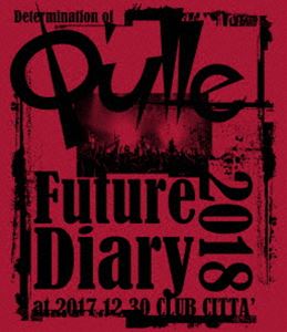 QulleDetermination of QulleFuture Diary 2018at 2017.12.30 CLUB CITTA [Blu-ray]