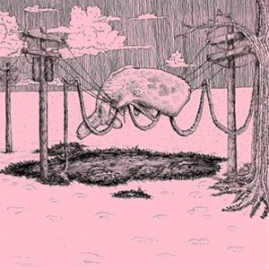 Rock, Pop - 輸入盤 HOME IS WHERE / WHALER [LP]